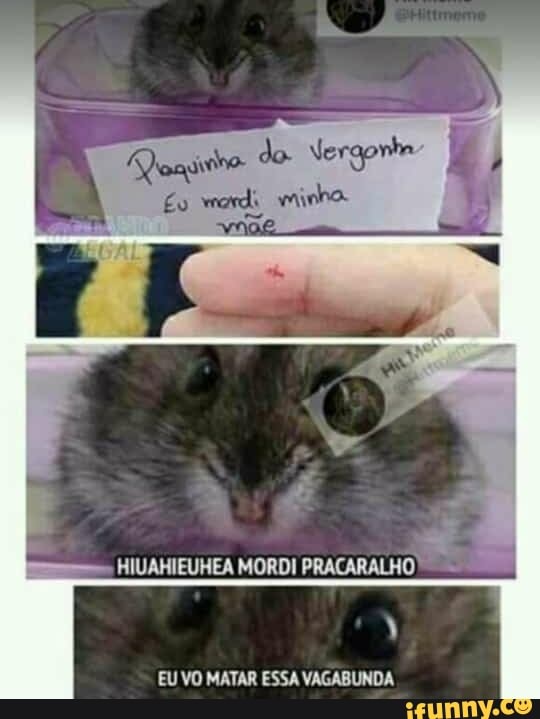 Z
HIUAHIEUHEA MORDI PRACARALHO ©
EU VO MATAR ESSA VAGABUNDA