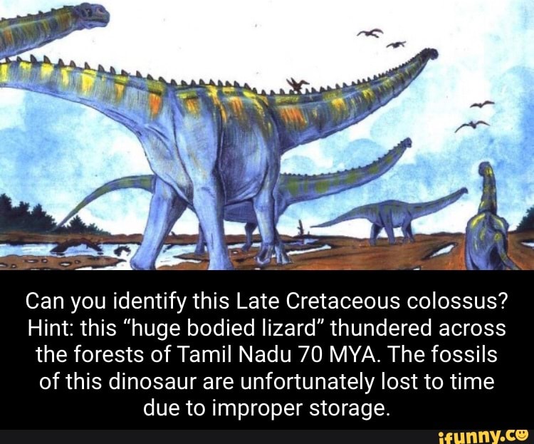 Can you identify this Late Cretaceous colossus? Hint: this 