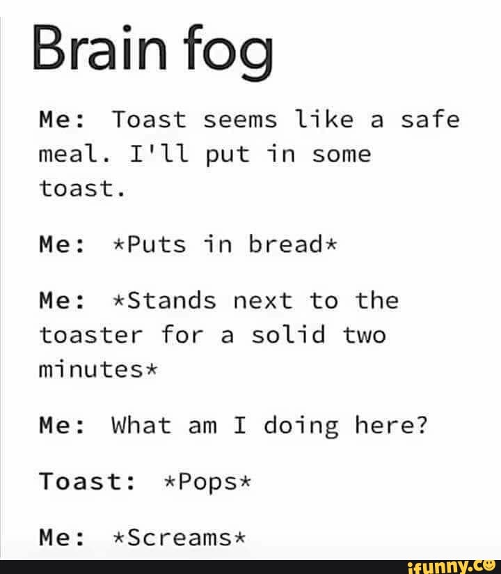 Brain fog Me Toast seems like a safe meal. I'll put in some toast. Me *Puts in bread* Me