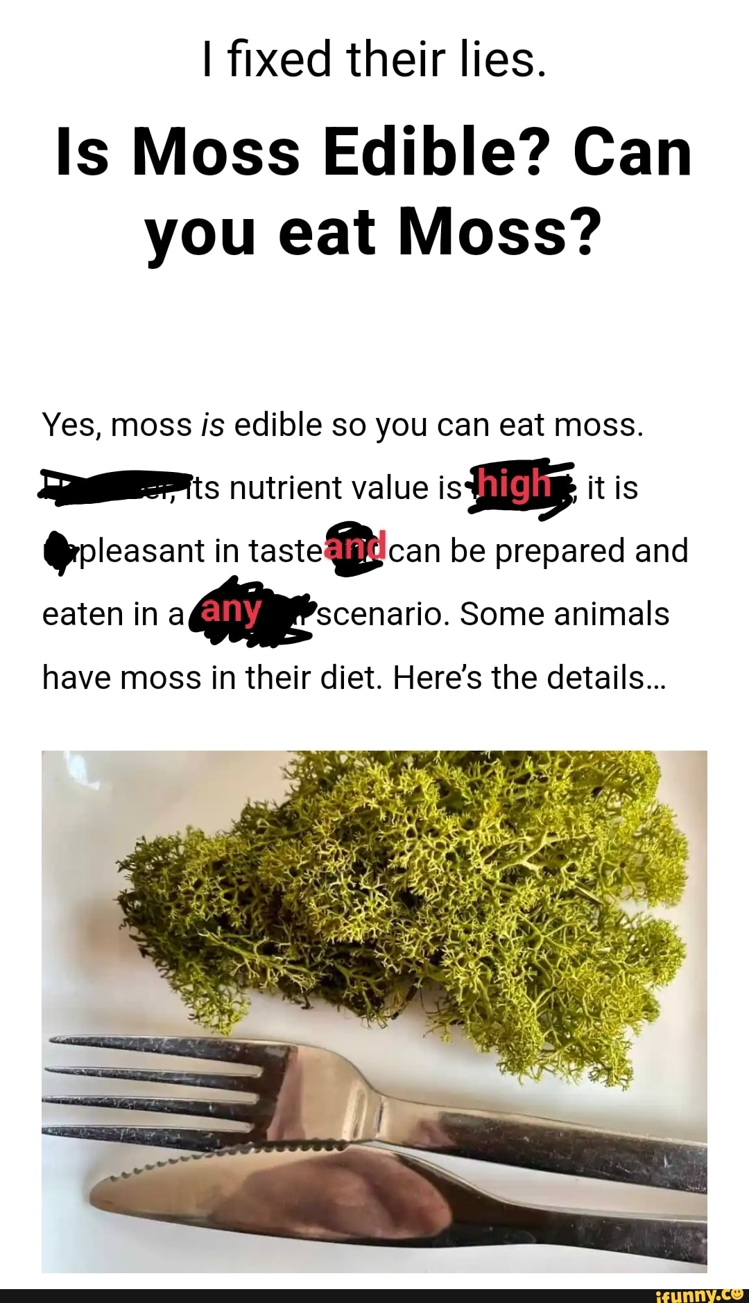 Is Moss Edible? Can you eat Moss? Yes, moss is edible so you can eat