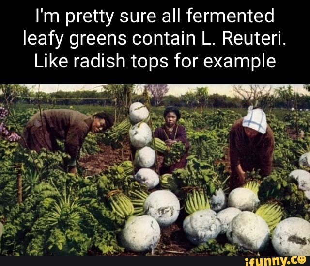 Radish memes. Best Collection of funny Radish pictures on iFunny
