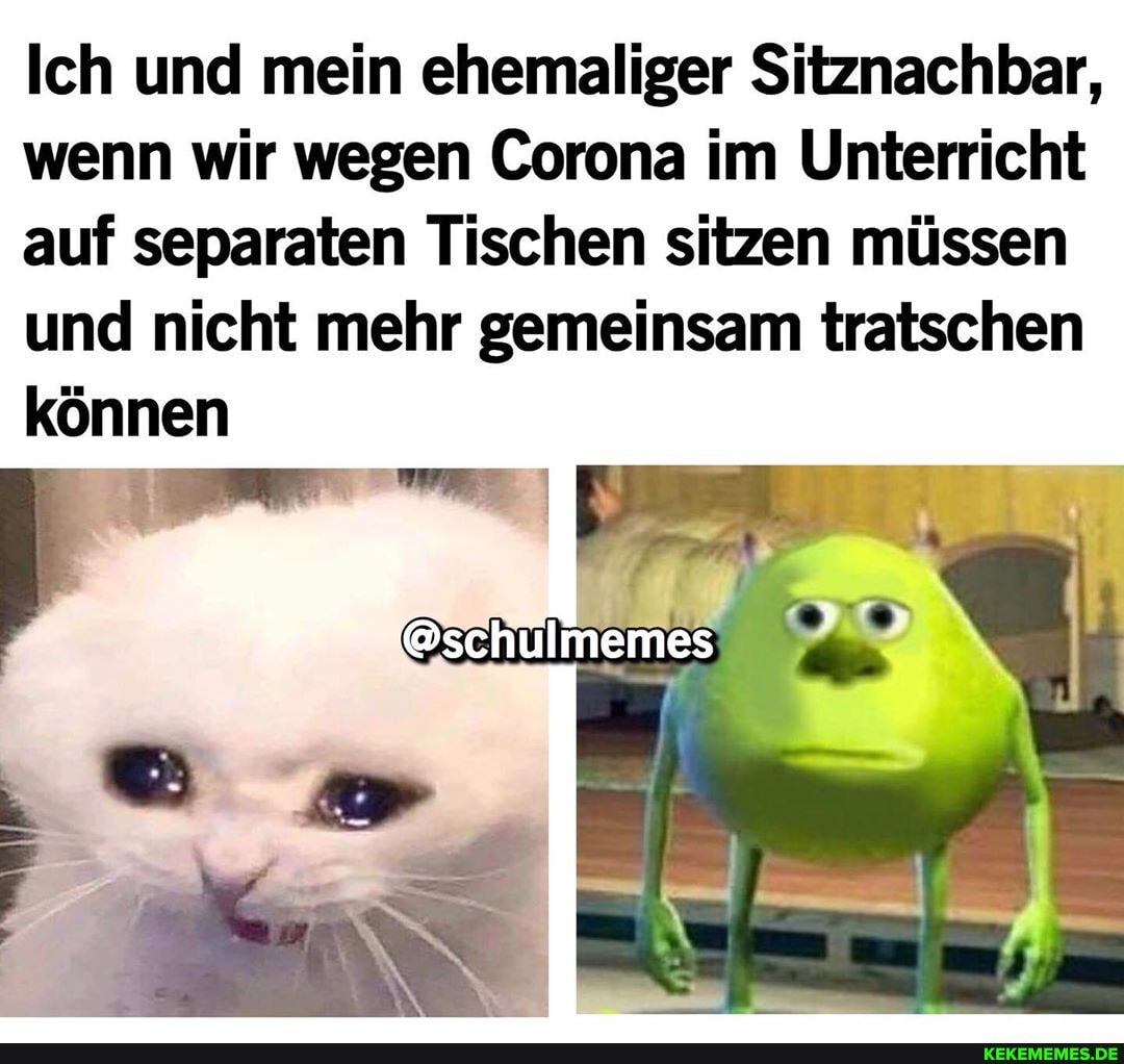 Ich und mein ehemaliger Sitznachbar, wenn wir wegen Corona im Unterricht auf separaten Tischen sitzen müssen und nicht mehr gemeinsam tratschen können
@schülmemes