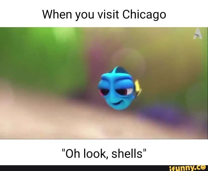 When you visit Chicago
IN
"Oh look, shells"