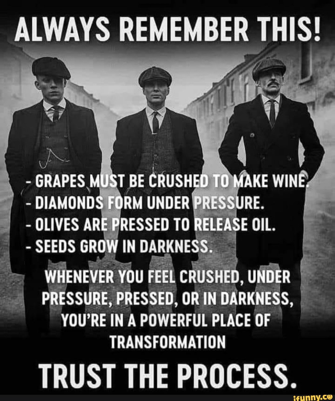 ALWAYS REMEMBER THIS!
OLIVES ARE PRESSED TO RELEA
E WAENEVER YOU FEEL
C
PRESSURE, PRESSED, OR IN DARKNESS,
I
YOU'RE IN A POWERFUL PLACE OF
TRANSFORMATION
TRUST THE PROCESS.