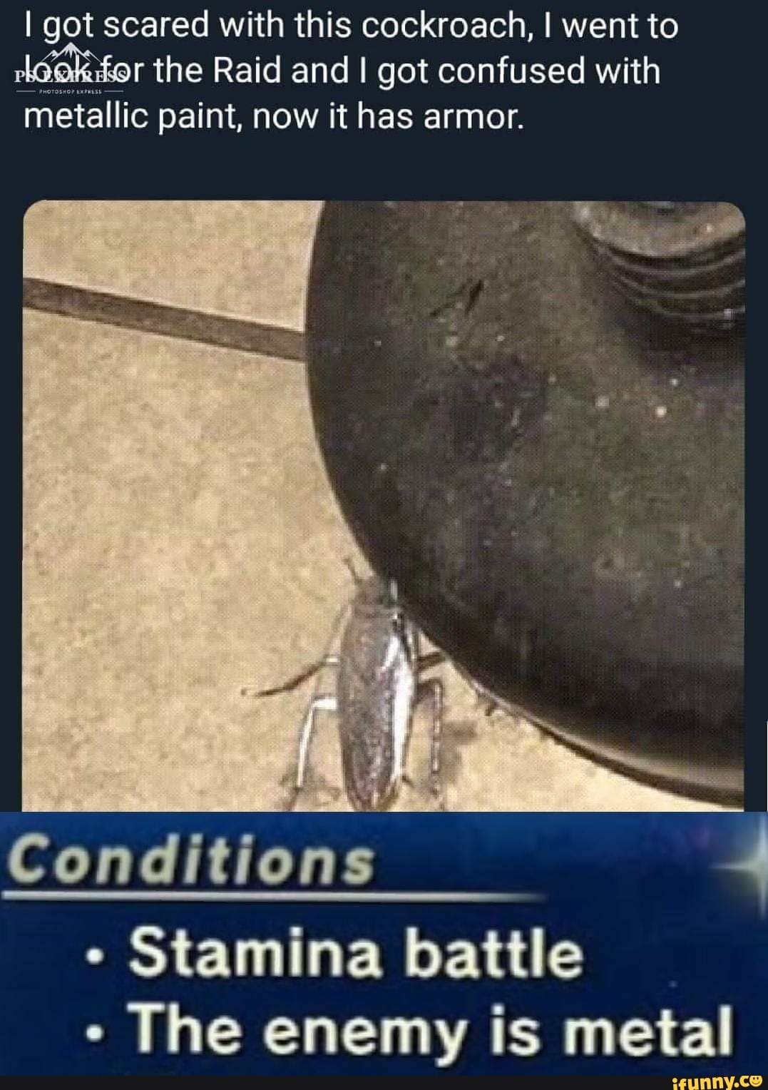 I got scared with this cockroach, I went to Mªga the Raid and I got  confused with metallic paint, now it has armor. - iFunny, image size:1077x1528
