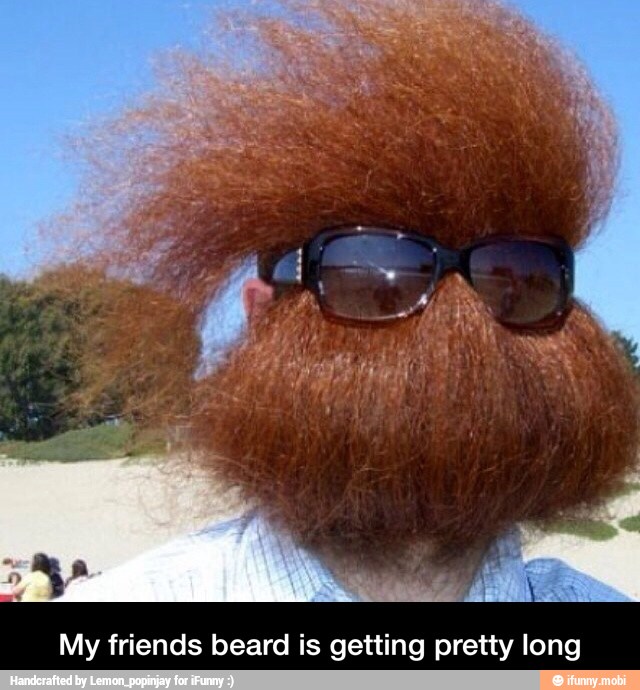 My friends beard is getting pretty long - My friends beard is getting pretty long