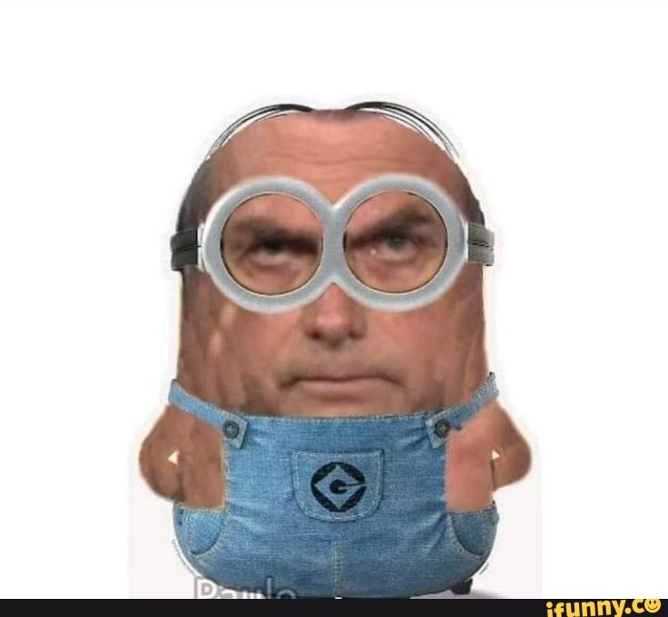 bolsonaro, bolsominion
