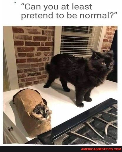 "Can you at least pretend to be normal?"