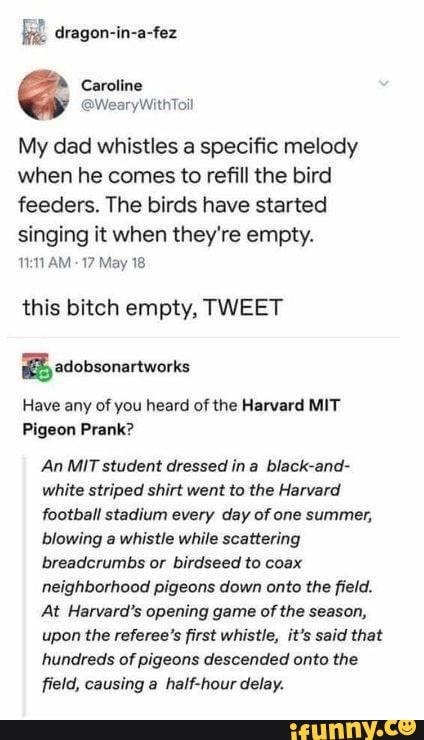 My dad whistles a specific melody when he comes to refill the bird feeders. The birds have started singing it when they're empty.
AM 17 May 18
this bitch empty, TWEET
adobsonartworks
Have any of you heard of the Harvard MIT Pigeon Prank?
An MIT student dressed ina black-and- white striped shirt went to the Harvard football stadium every day of one summer, blowing a whistle while scattering breadcrumbs or birdseed to coax neighborhood pigeons down onto the field.
At Harvard's opening game of the season, upon the referee's first whistle, it's said that hundreds of pigeons descended onto the field, causing a half-hour delay.