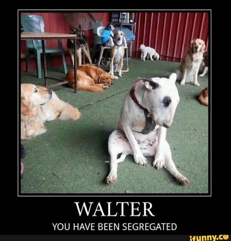 WALTER
YOU HAVE BEEN SEGREGATED