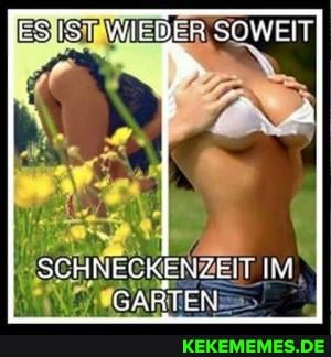 SCHNECKENZEIT IM