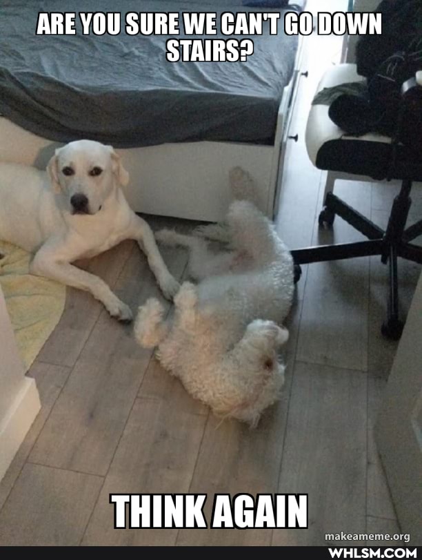 ARE YOU SURE WE CAN'T GO DOWN STAIRS?
THINK AGAIN