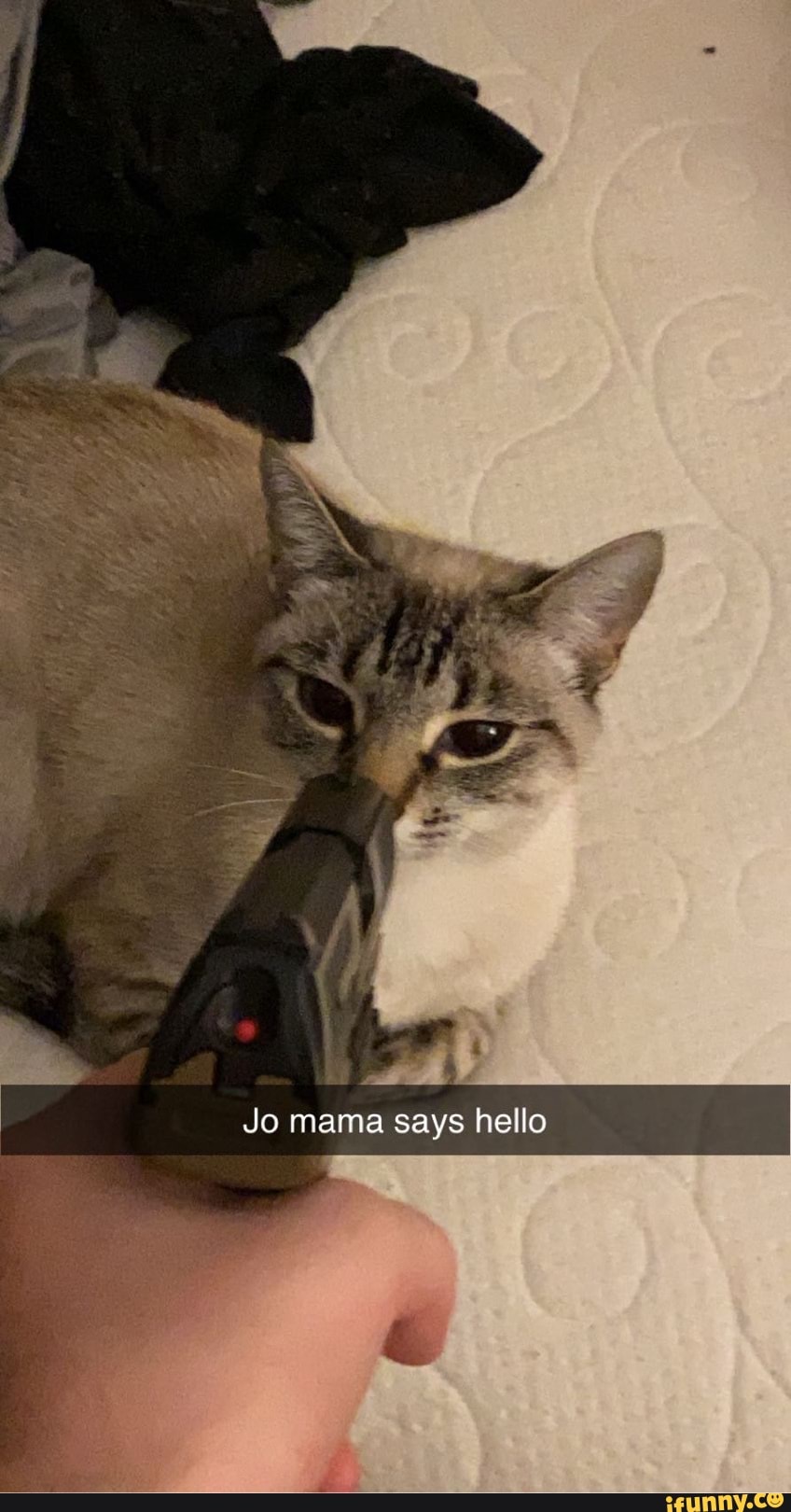 Jo mama says hello