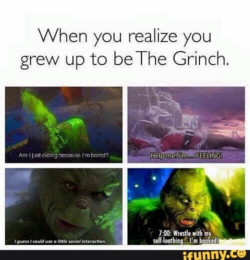 If He Gets Up, We'll All Get Up, It'll Be Anarchy! — MR. GRINCH