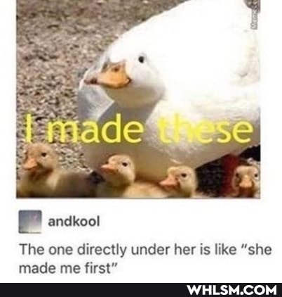 FF
The one directly under her is like "she