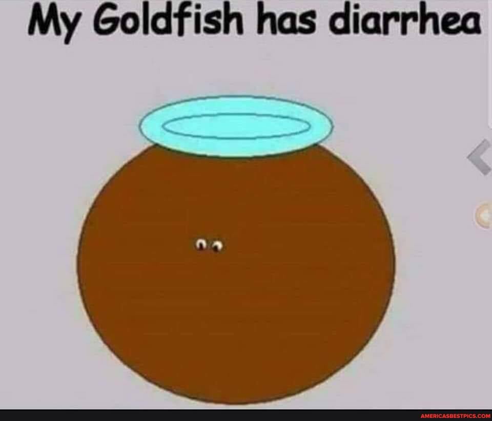 My Goldfish has diarrhea America’s best pics and videos