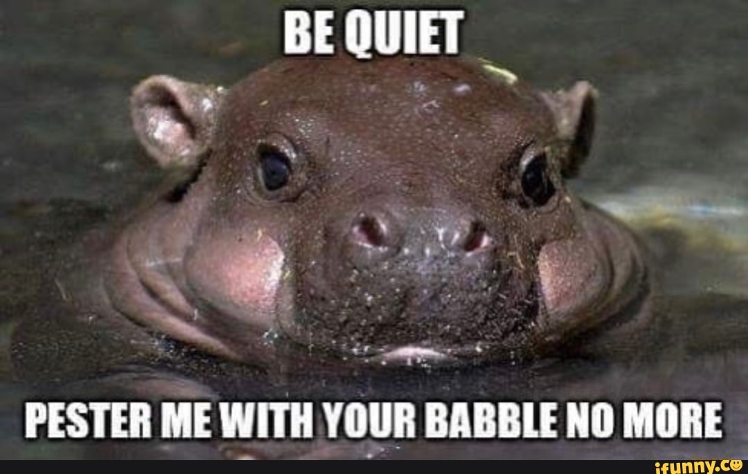 BE QUIET
Ne
PESTER ME WITH YOUR BABBLE NO MORE
