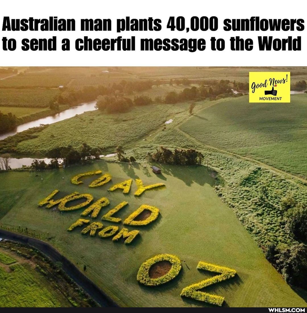 Australian man plants 40,000 sunflowers to send a cheerful message to the World
MOVEMENT