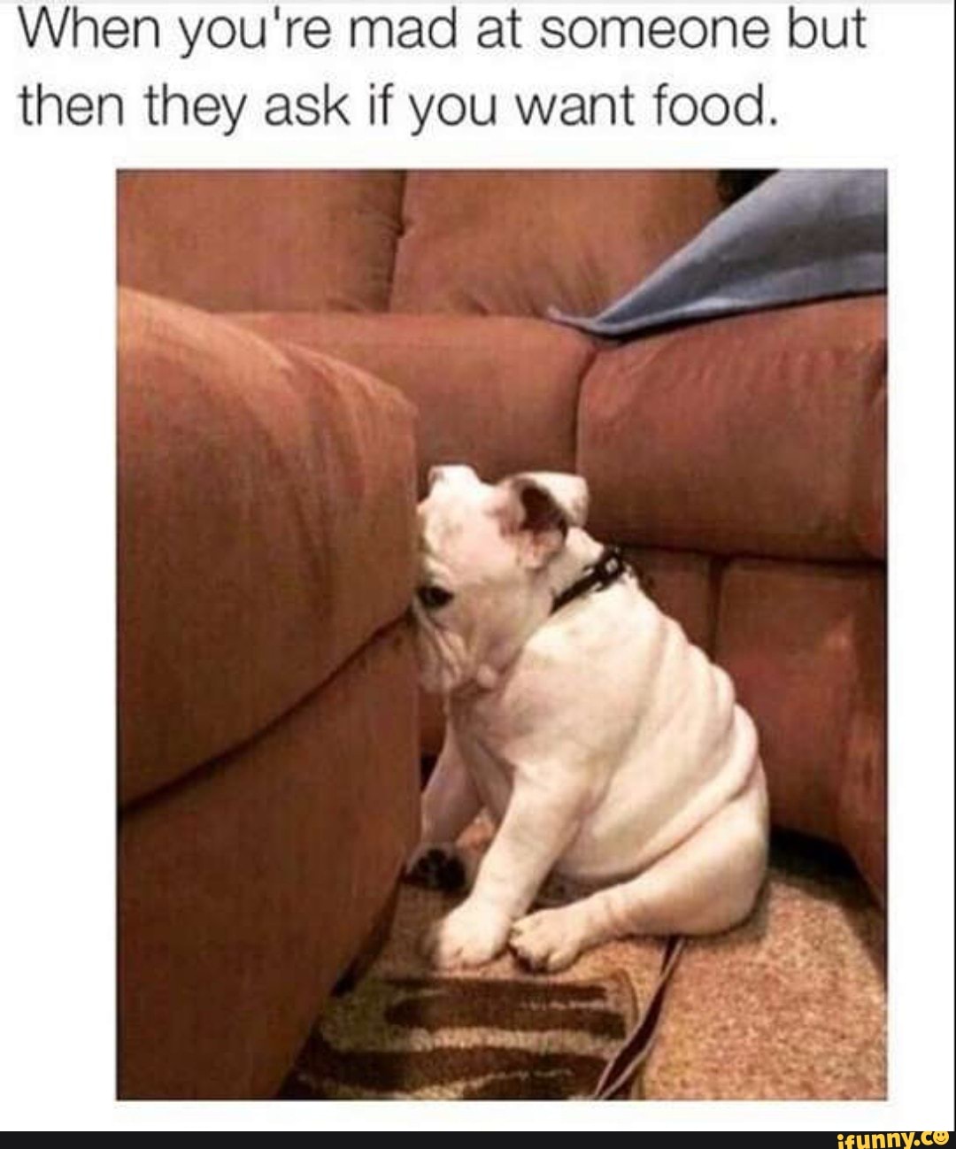 When you're mad at someone but
then they ask if you want food.
