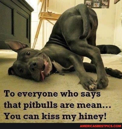 To everyone who says that pitbulls are mean...
You can kiss my hiney!