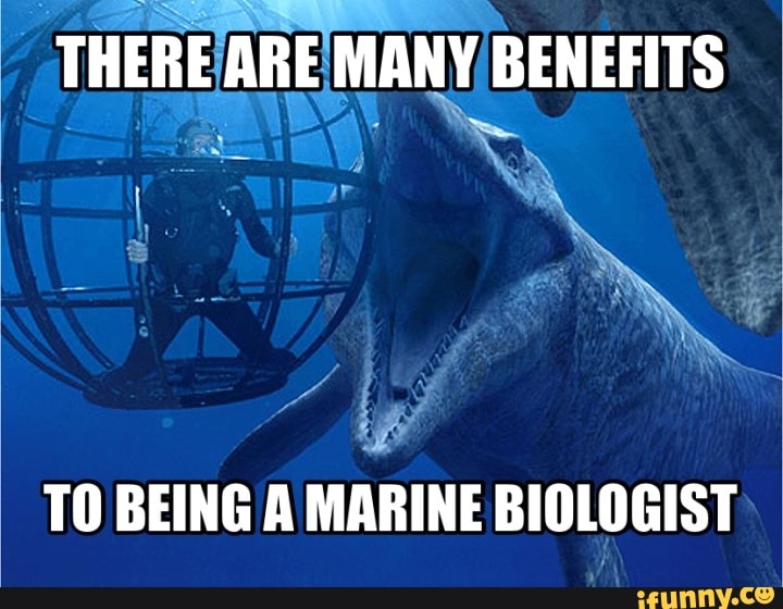 Mosasaurus memes. Best Collection of funny Mosasaurus pictures on iFunny