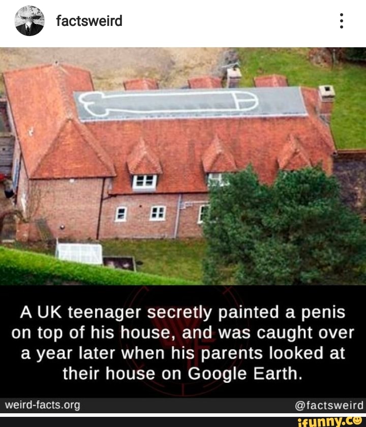 Y factsweird
A UK teenager secretly painted a penis
on top of his house, and was caught over
a year later when his parents looked at
their house on Google Earth.