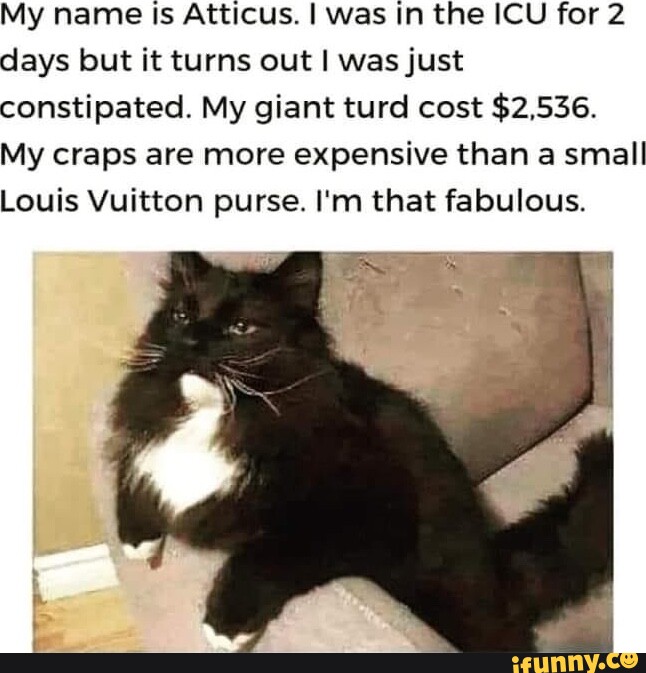 The best Louis Vuitton memes :) Memedroid