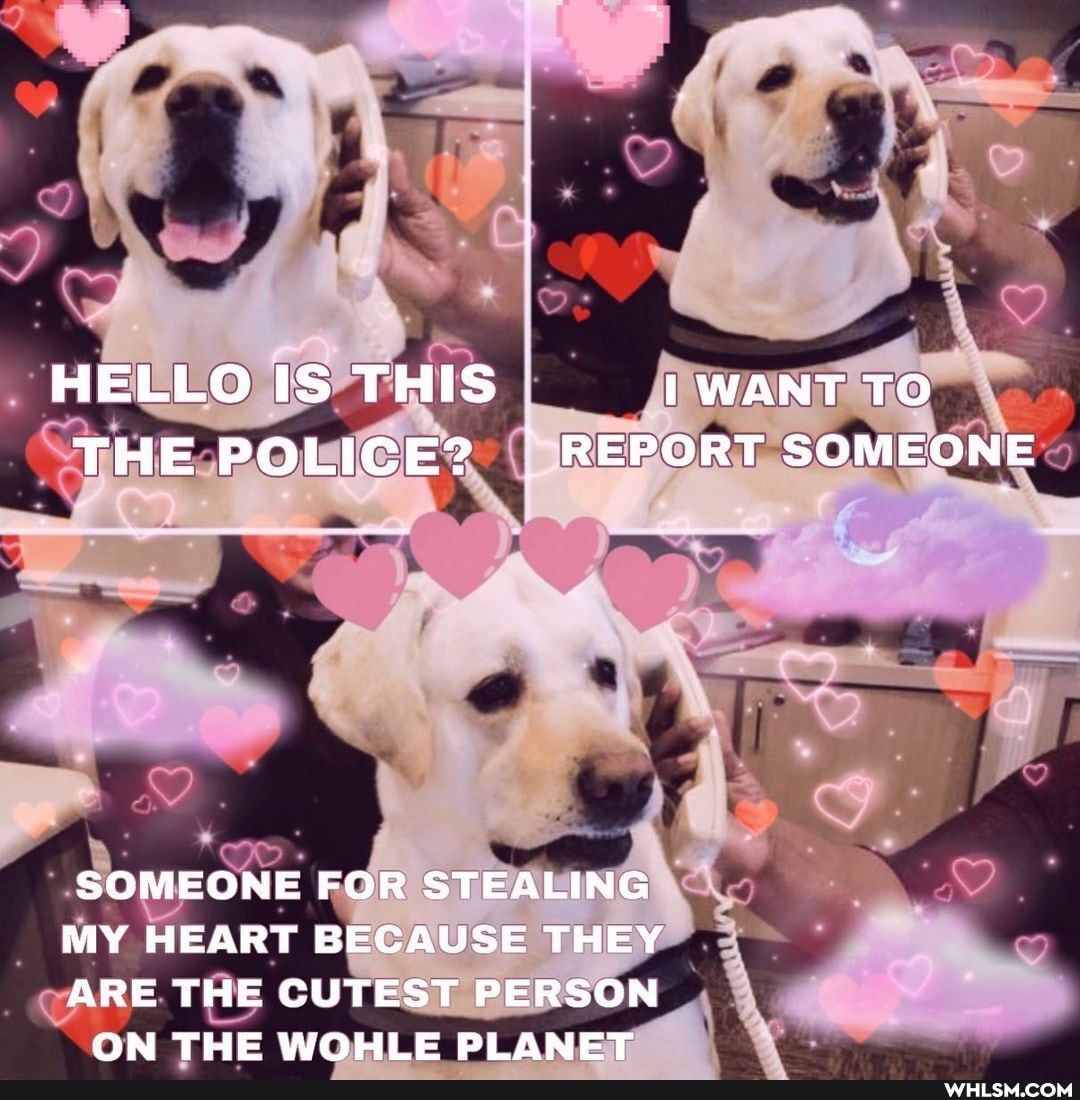 HELLO IS THIS WANT TO THE POLICE? REPORT SOMEONE
SOMEONE FOR STEALING
MY HEART BECAUSE THEY
ARE THE CUTEST PERSON ON THE WOHLE PLANET