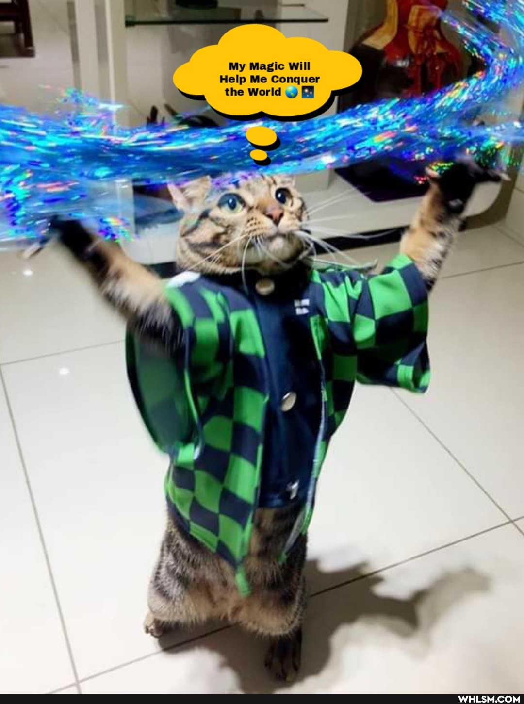 My Magic Will
Help Me Conquer the World