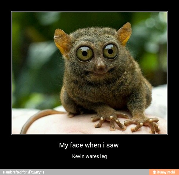 My face when i saw
Kevin wares leg - My face when i saw
Kevin wares leg