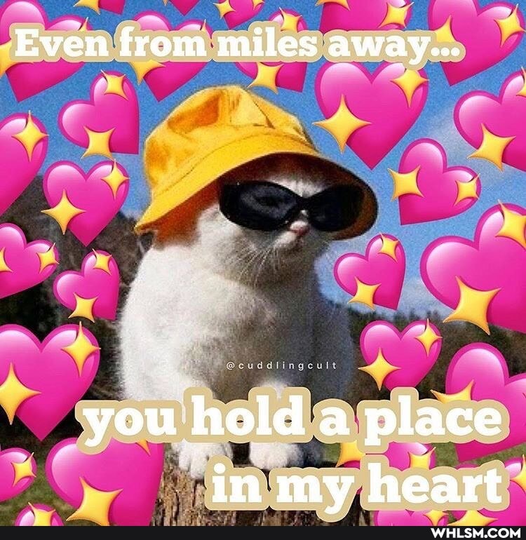 Even from miles away...
you hold a place in my heart_