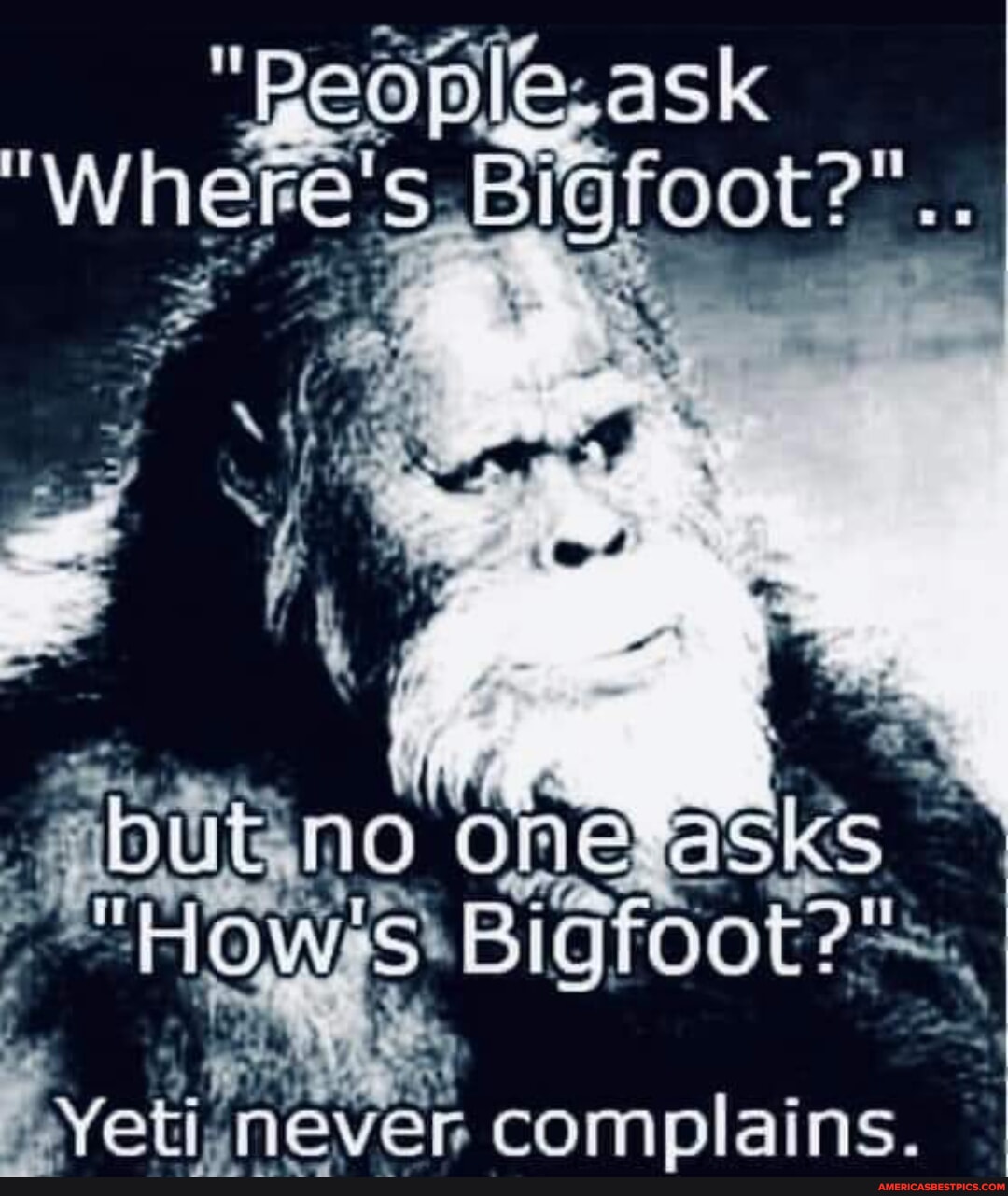 Bigfoot HOw's: Yeti, never complains. - America’s best pics and videos