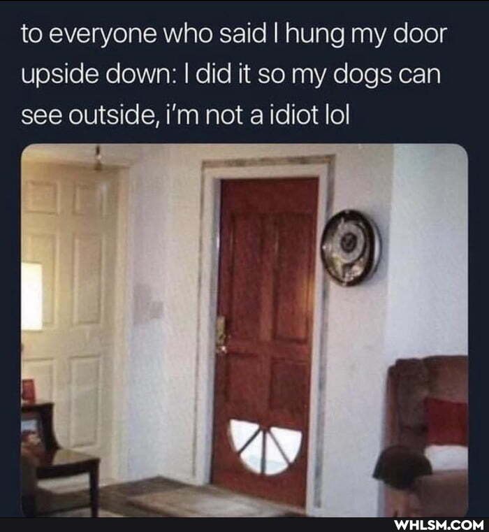 to everyone who said I hung my door upside down: I did it so my dogs can see outside, i'm not a idiot lol