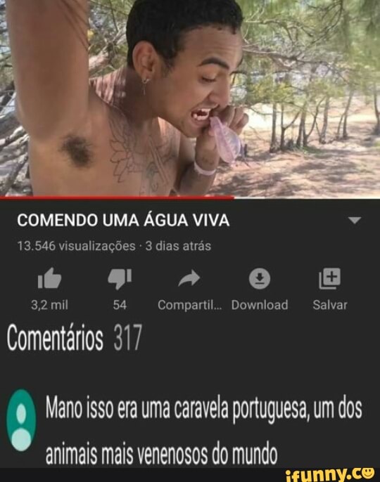 COMENDO UMA ÁGUA VIVA
13.546 visualizações - 3 dias atrás
3,2 mil 54 Compartil.. Download Salvar
Comentários 317
Mano isso era uma caravela portuguesa, um dos animais mais venenosos do mundo