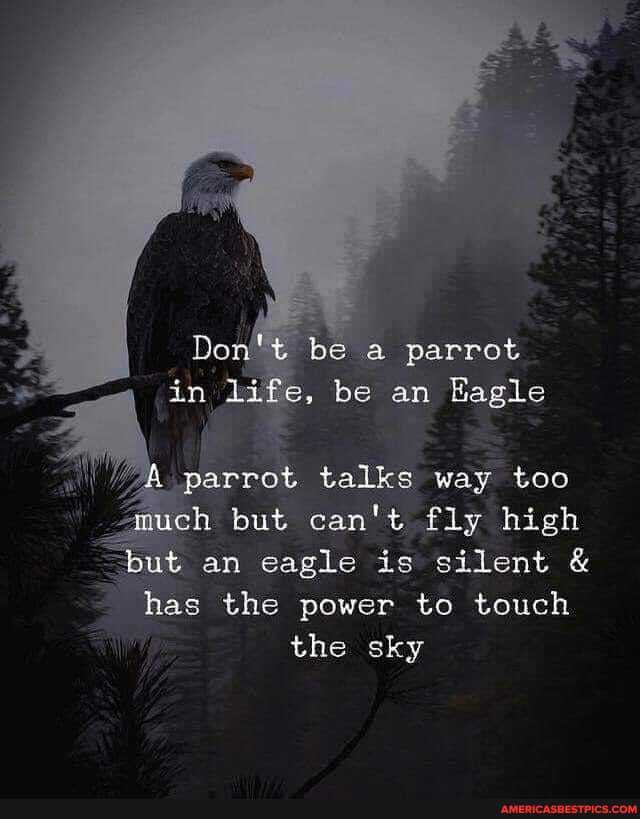 be parrot be an Eagle
parrot talks way too
ch but can't fly high
an eagle is silent &
has the power to touch the sky