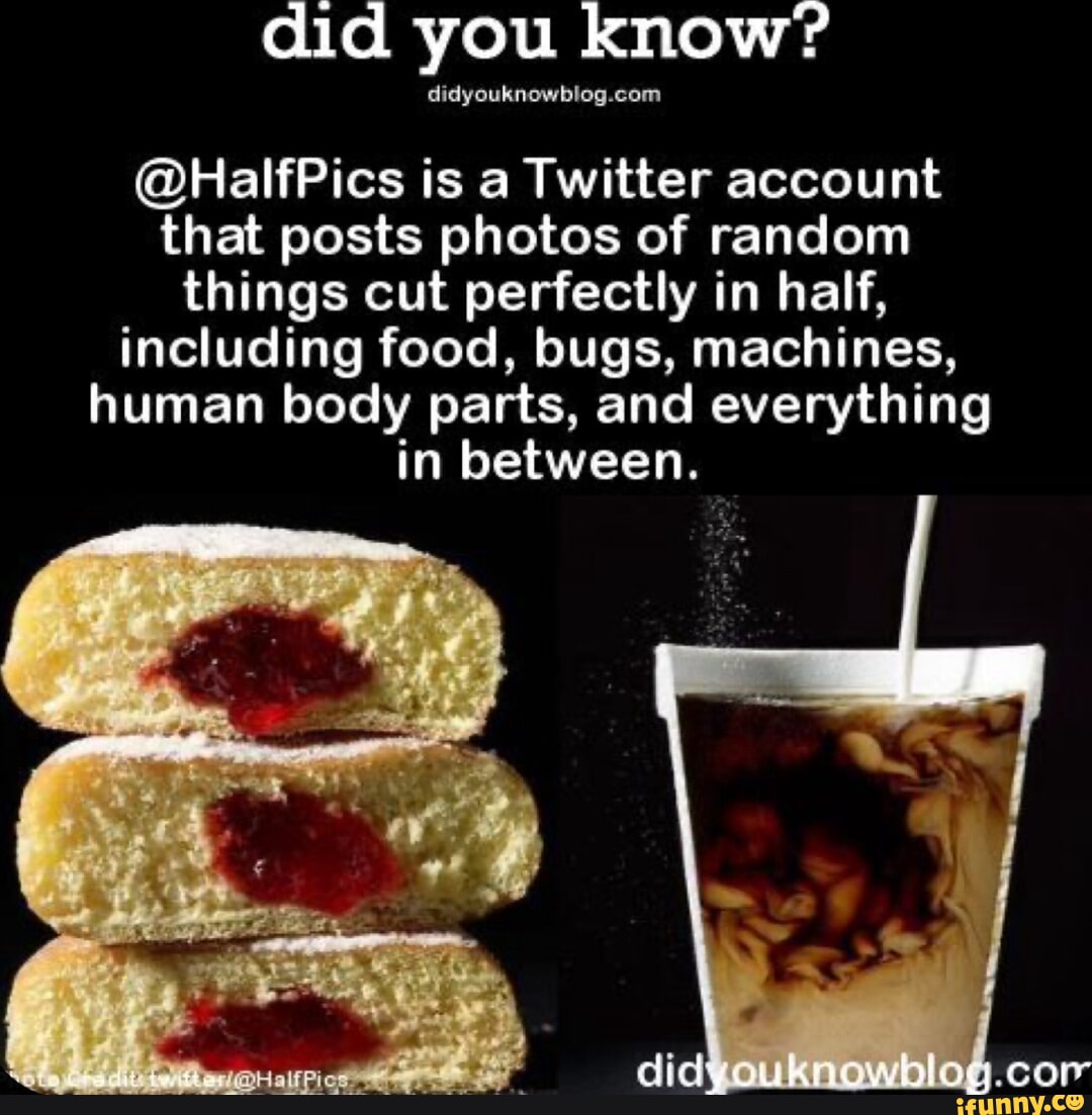 Did you know? @HalfPics is a Twitter account that posts photos of ...