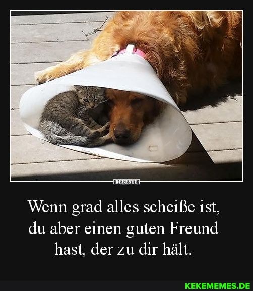 Wenn grad alles scheiße ist, du aber einen guten Freund hast, der zu dir hält.