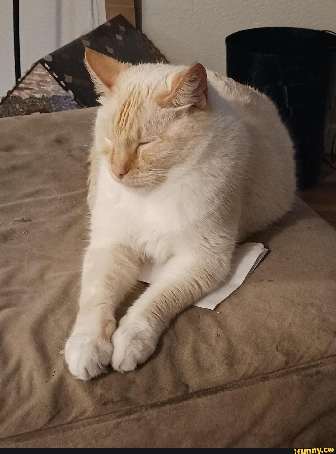 Paperweight memes. Best Collection of funny Paperweight pictures on iFunny