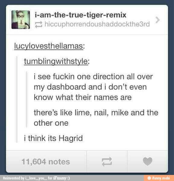 [E i-am-the-true-tiger-remix
4
lucylovesthellamas:
tumblingwithstyle:
i see fuckin one direction all over
my dashboard and i don't even
know what their names are
there's like lime, nail, mike and the
other one
i think its Hagrid