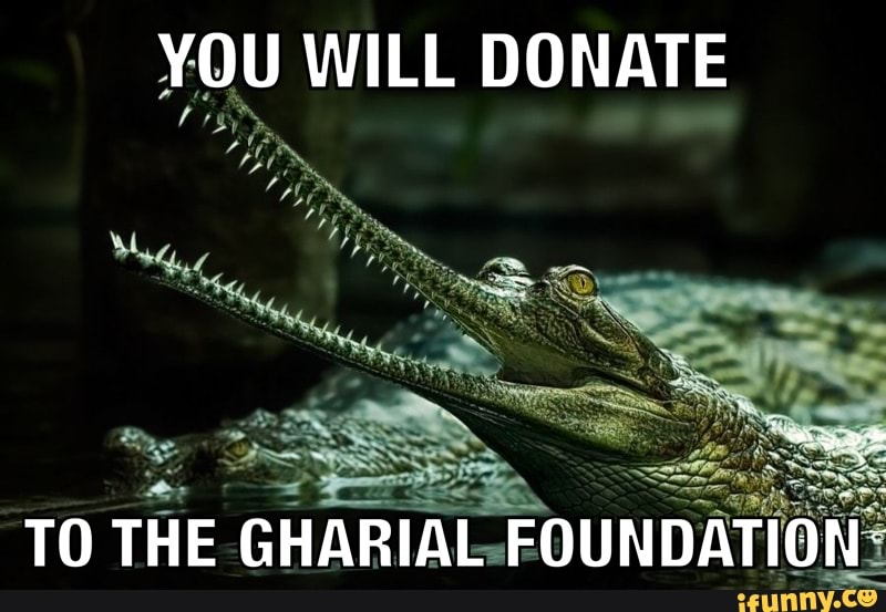 YOU WILL DONATE
TO THE GHARIAL FOUNDATION: