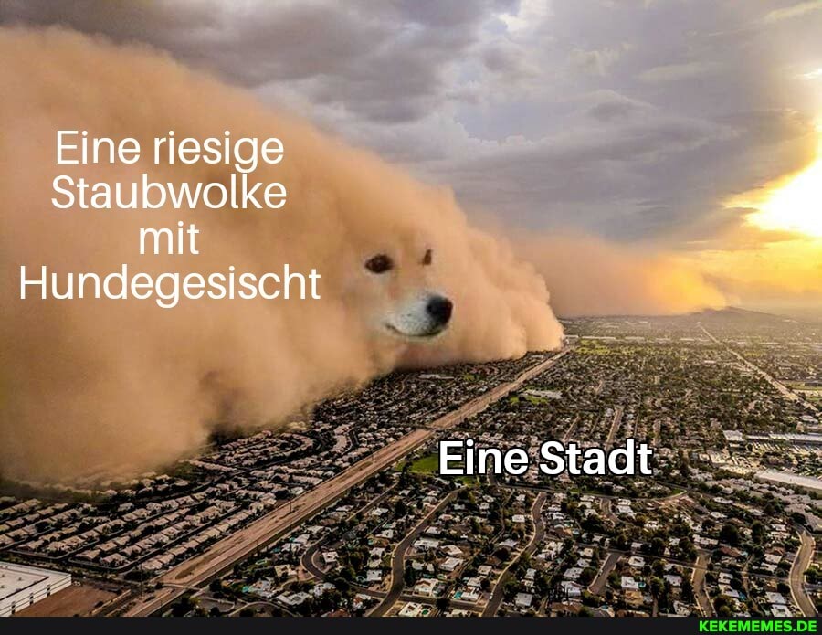 Eine riesige
Staubwolke mit
Hundegesischt
Eine Stadt