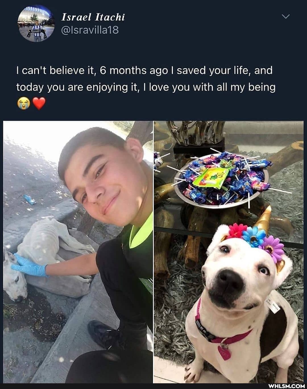 Israel Itachi
I can't believe it, 6 months ago I saved your life, and today you are enjoying it, I love you with all my being