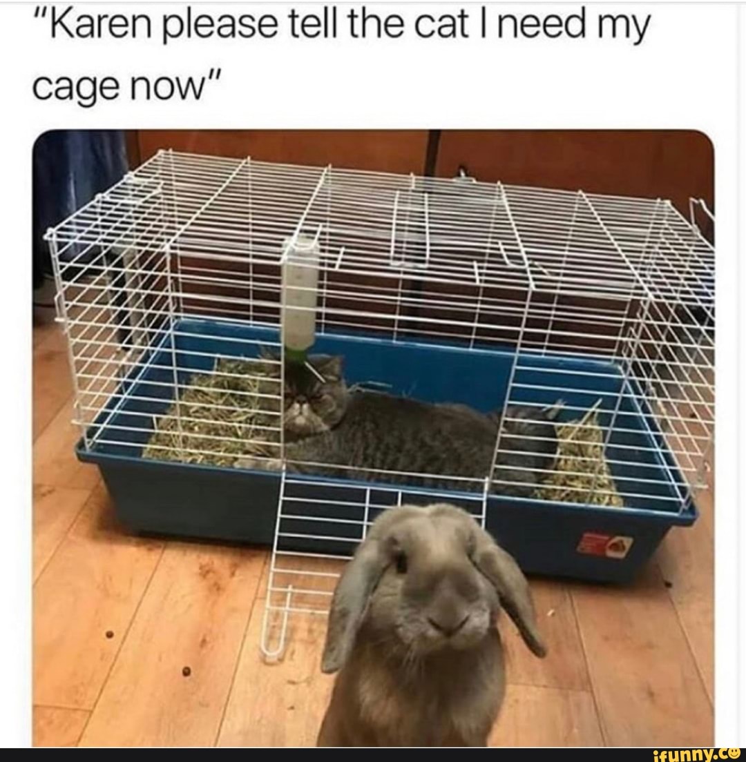 "Karen please tell the cat I need my cage now"