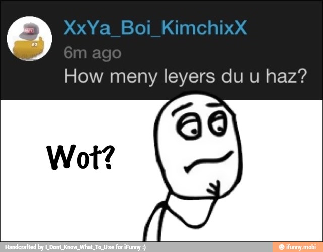 How meny leyers du u haz?
