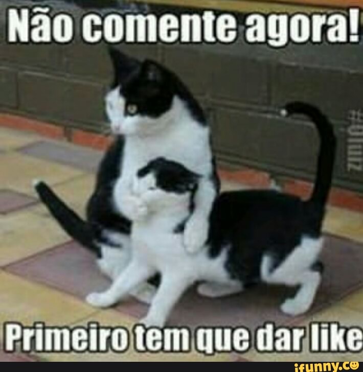 TE DO mada
Não comente agora!