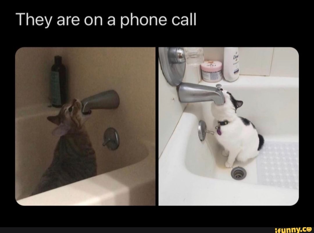 They are on a phone call