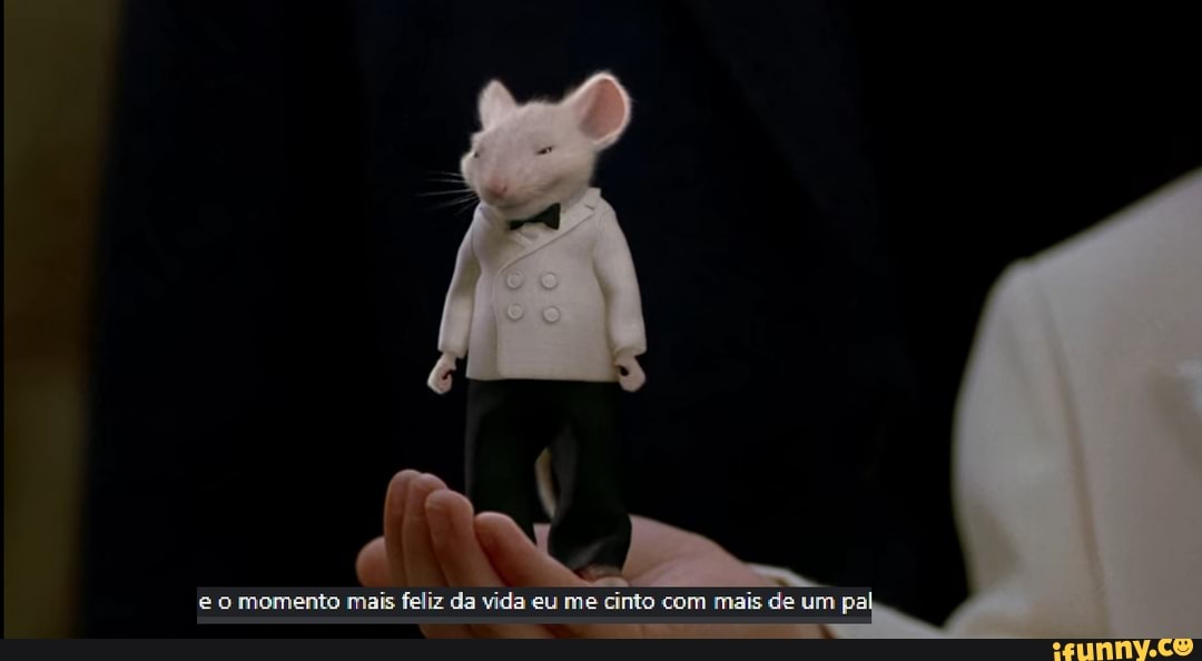 momento mais feliz da vida eu me cinto com mais de um pal