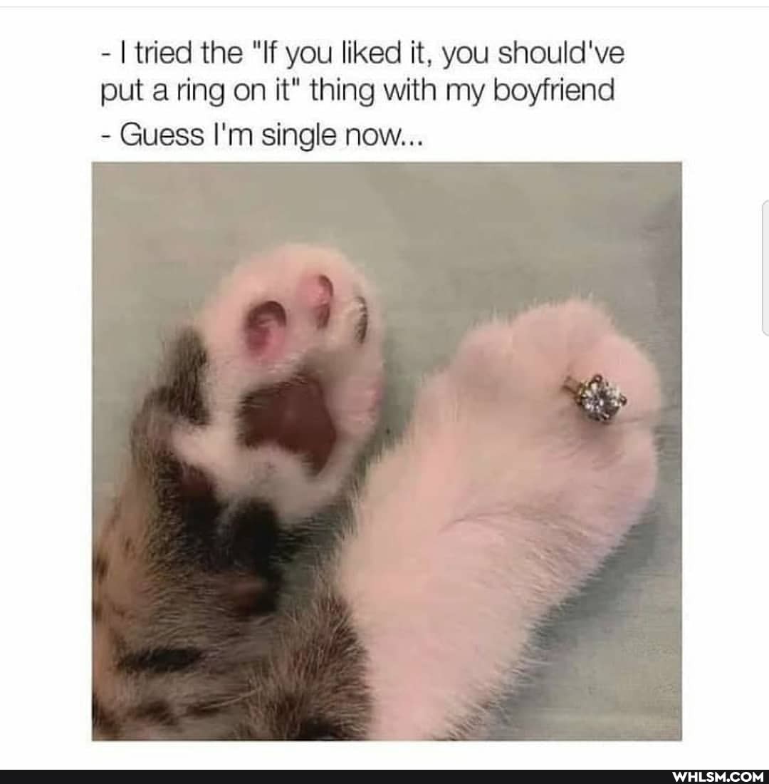 - I tried the "If you liked it, you should've put a ring on it" thing with my boyfriend
- Guess I'm single now...