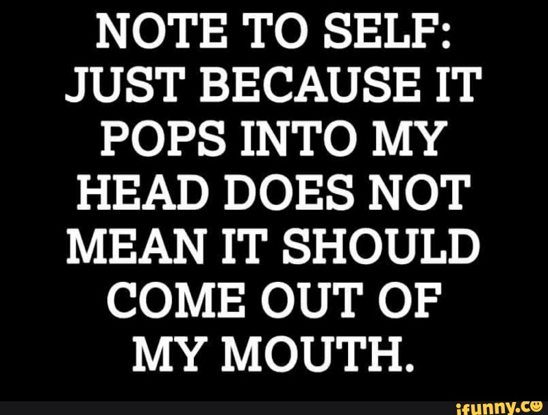 NOTE TO SELF JUST BECAUSE IT POPS INTO MY HEAD DOES NOT MEAN IT SHOULD