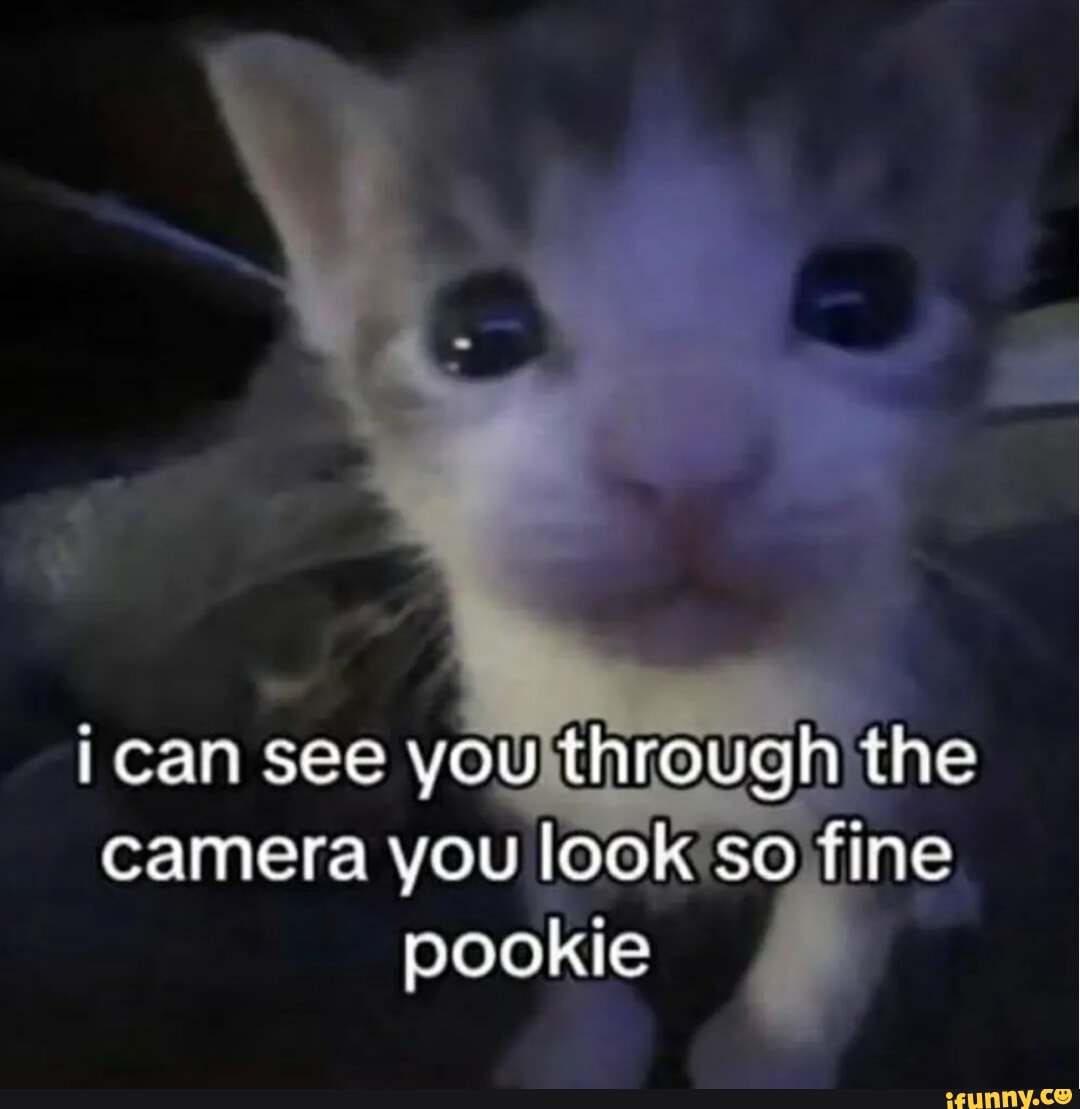 Picture memes JP5C1xB1B by JustFunTimesYes - iFunny